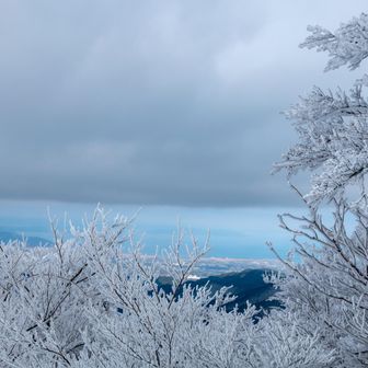 山頂から見た出水市