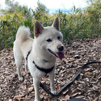 まだまだやる気満々