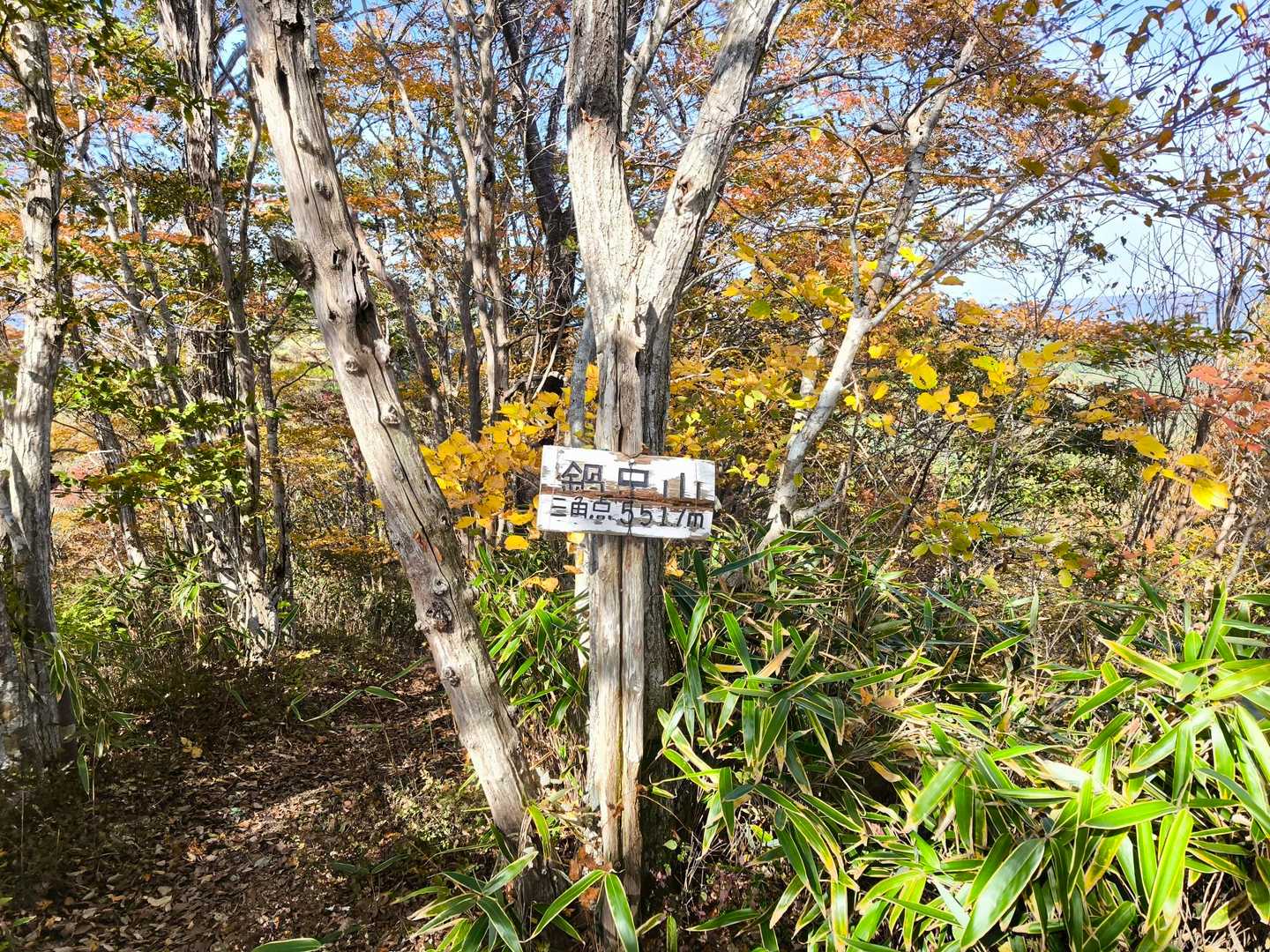 猪ノ鼻峠-鍋足山 往復コースの写真