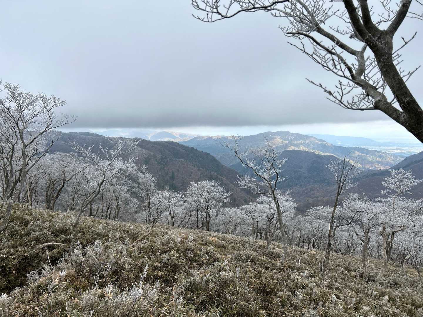 めちゃくちゃ寒い。
桜みたいだけど、霧氷ってのか。
綺麗だよ。