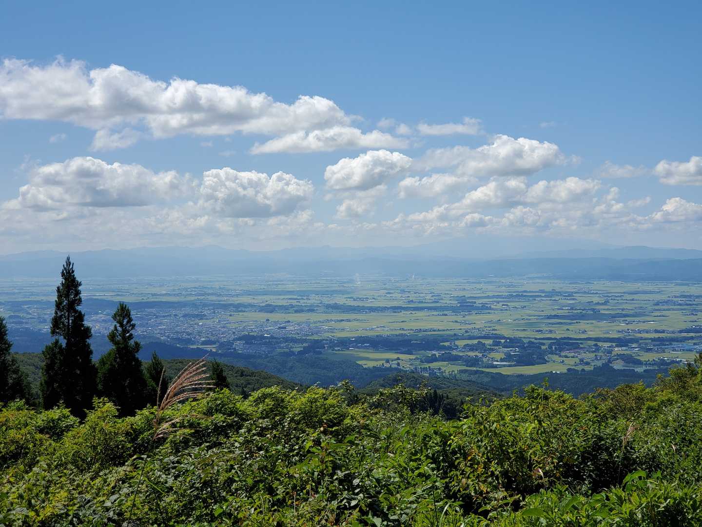黒森山 往復コースの写真