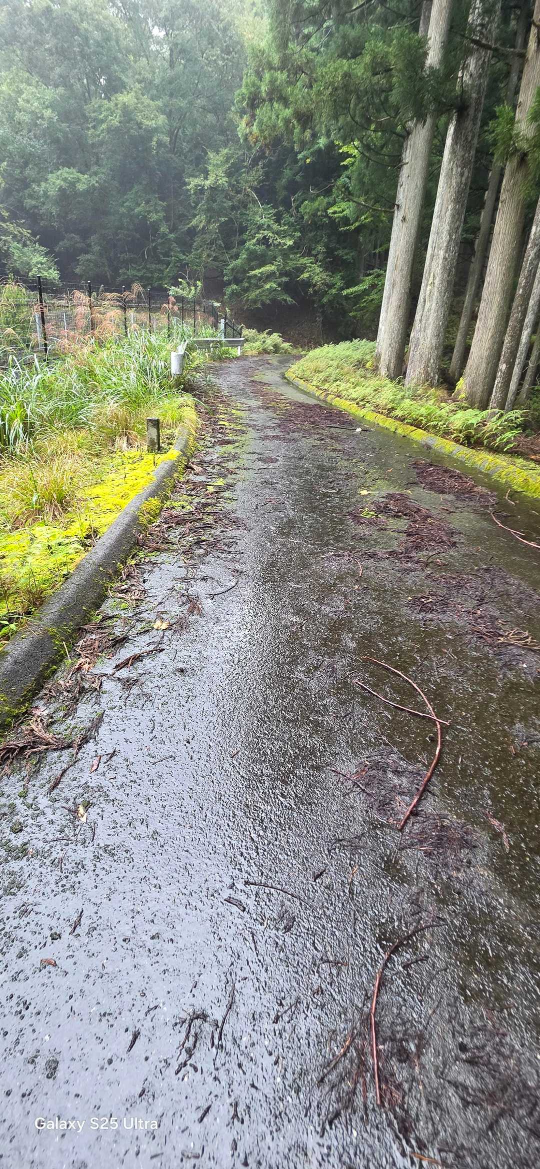 ここめっちゃ滑るんです