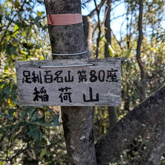 GP14　取り付きから藪