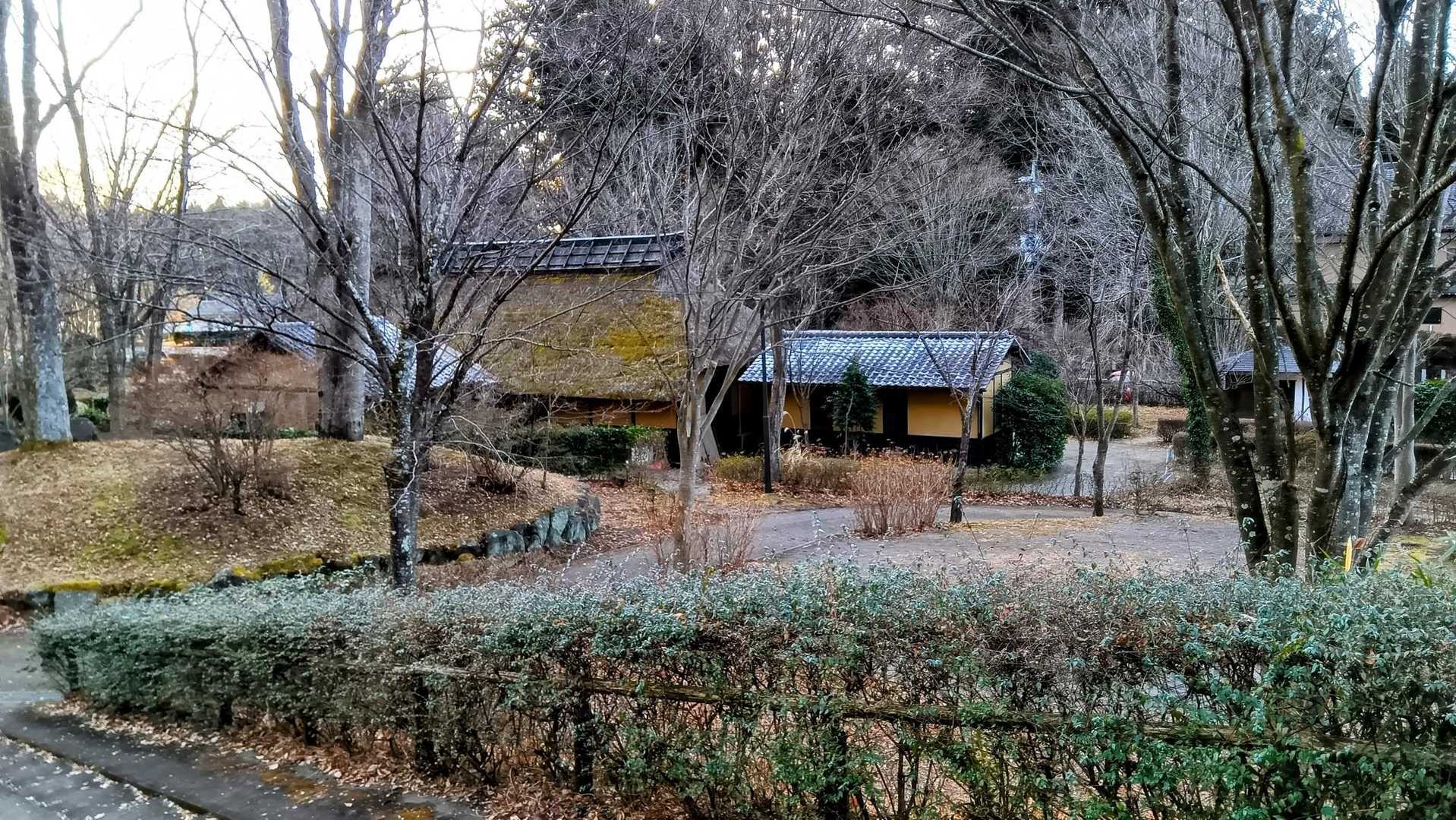 嵩山道の駅のそば処の朝です