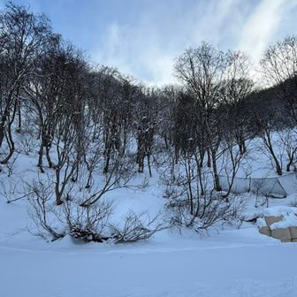 冬道の斜面
まだまだ薮が埋まらず