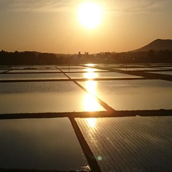 やおやのせがれ