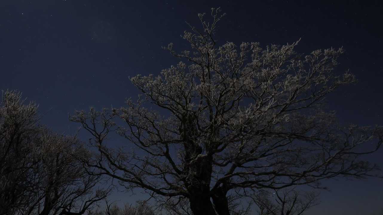 霧氷