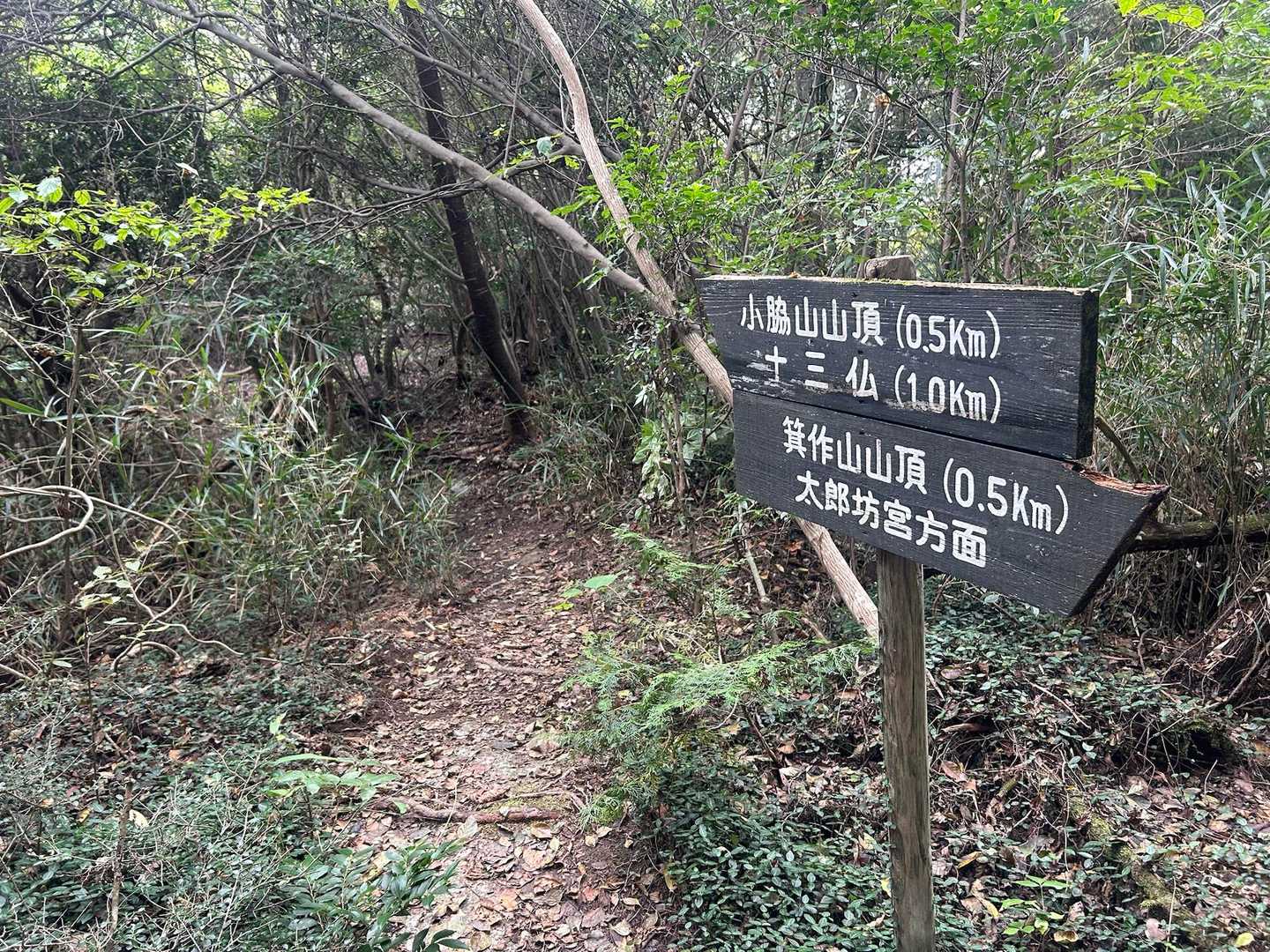 次の小脇山⛰️までは500メートル