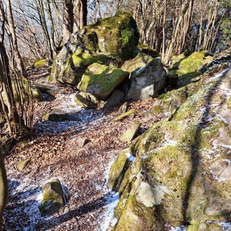 この辺りは石がゴロゴロ、苔がとってもいい感じ💚