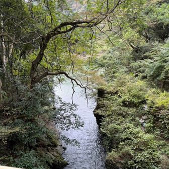 あそこから相模湖です。