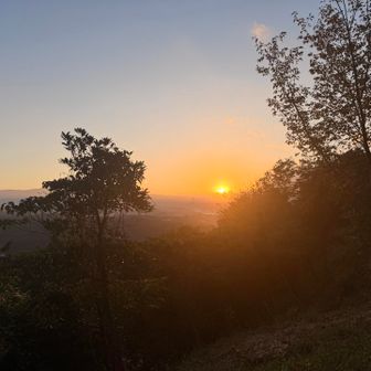 🌅