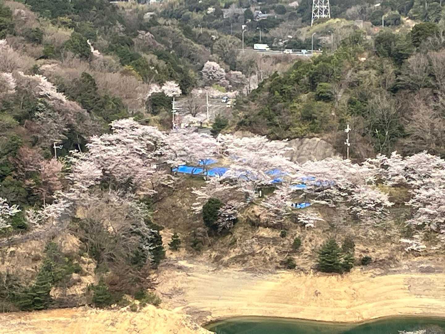 🌸🌸永楽ダム広場🌸🌸