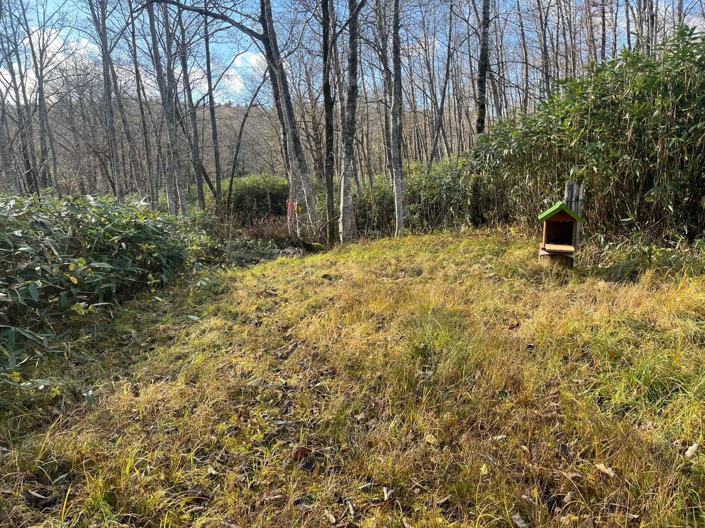 登山口到達。
すぐに渡渉あり。
川幅が広く、帰りはやむを得ず川に足突っ込んで強行突破😅