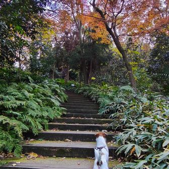 あーもう公園だ。🧞魔法が切れるー💔