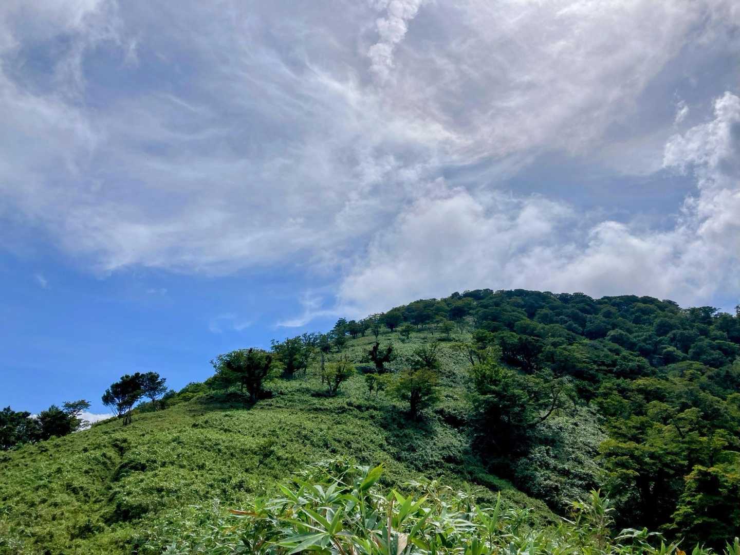振り返っての三室山
青空🔵が出てきました