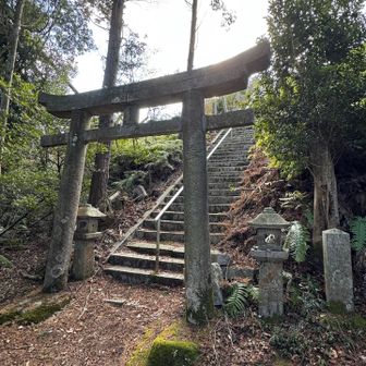 ここからが、大変