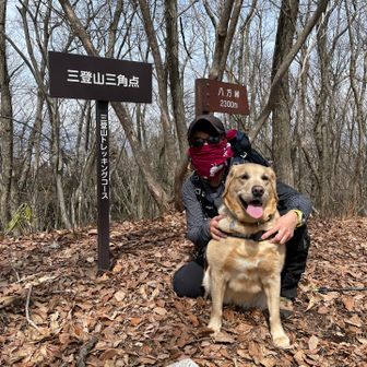 三角点はここです