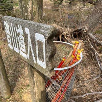 レンタル　杖　ありましたよ