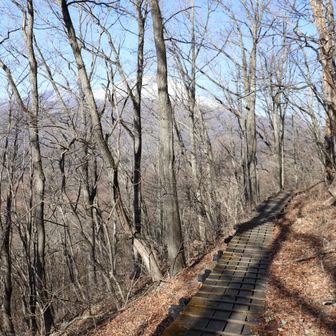 木道が整備されて歩きやすい