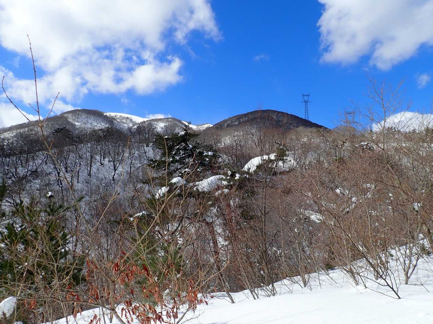 これもいつものあるある…