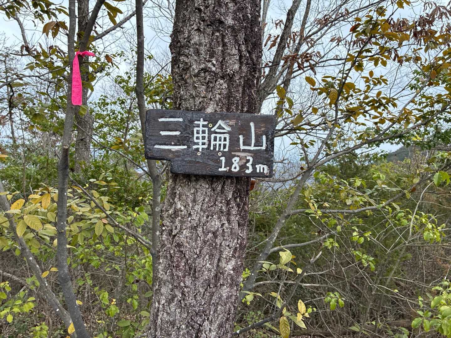 三輪三山入口-三輪山-北ノ山-岐関峠-P174-合渡山-琴 周回コースの写真