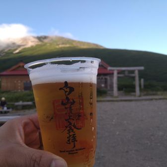 ウメ