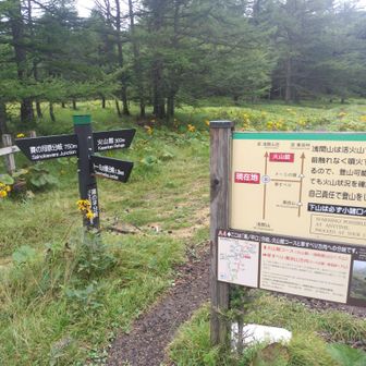 噴火時は火山館の方に逃げます