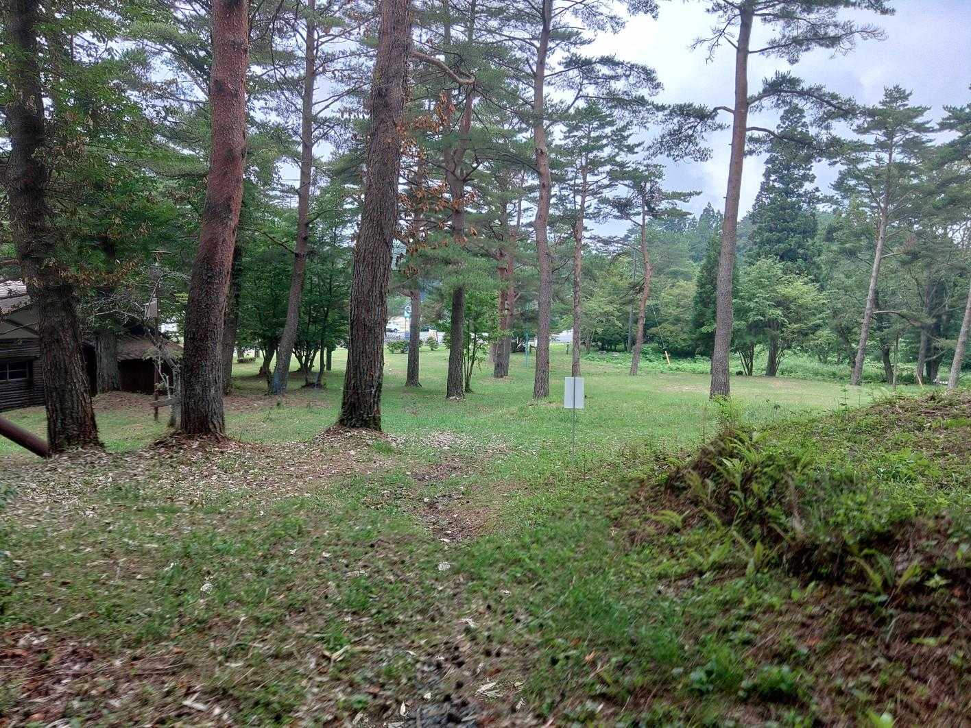 ロッジまで降りてきました