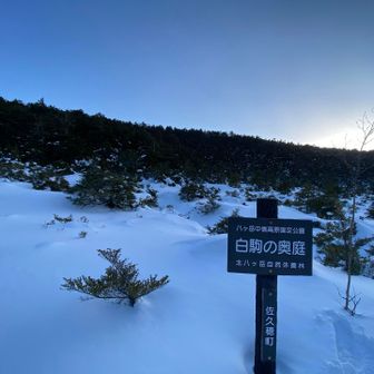 白駒の奥庭だって〜💖