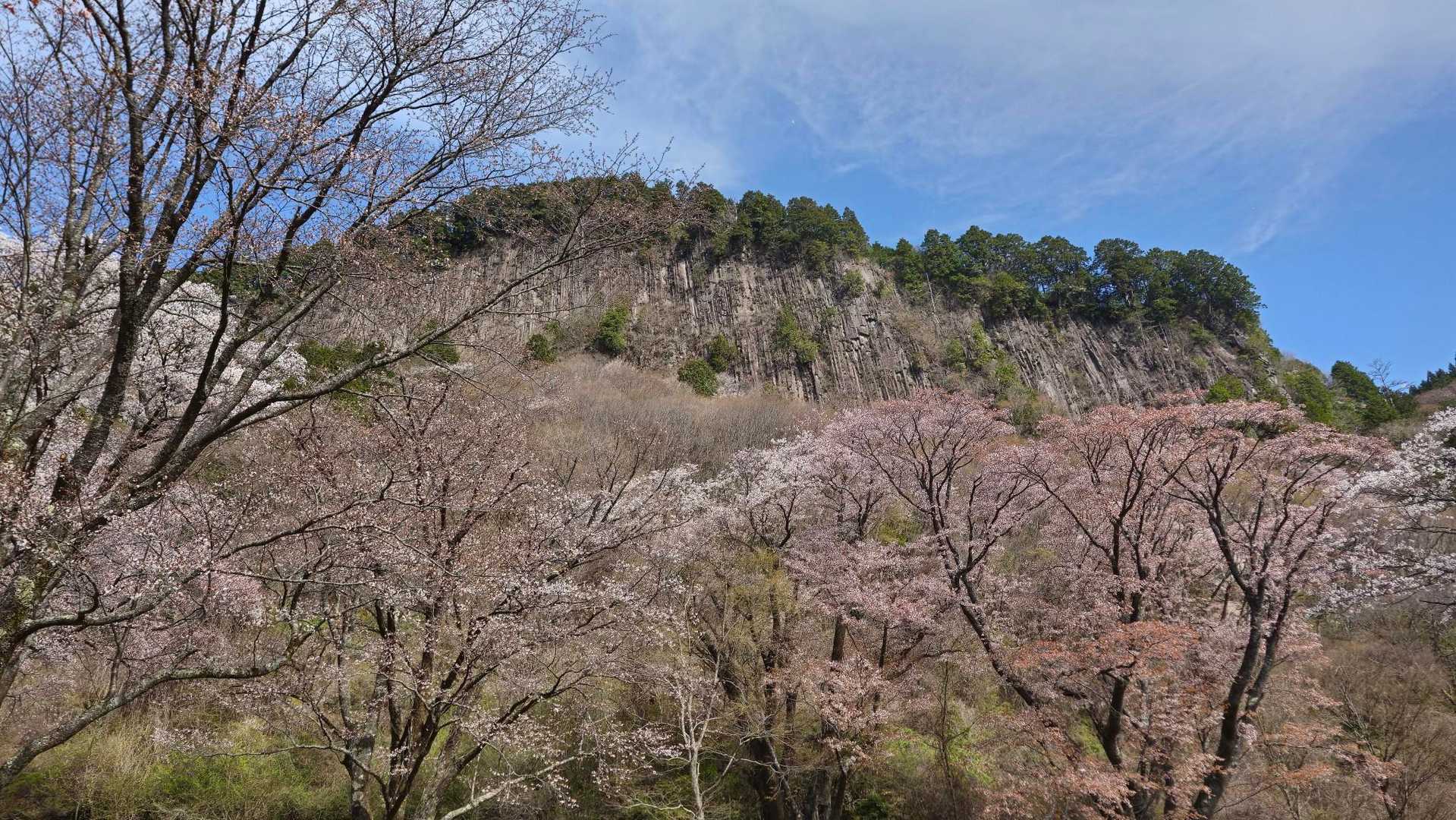 屏風岩公苑登山口-住塚山-国見山-一ノ峰 周回コースの写真