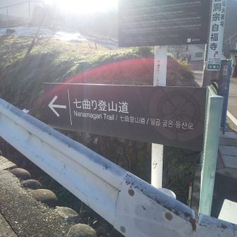 瞑想の小径から行くと金華山に行けないと判明したので、七曲りコースを選択