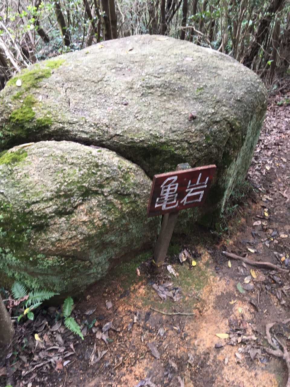 亀岩🐢までくると山頂までもぅチョット😊