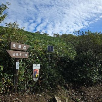 ここから登ります