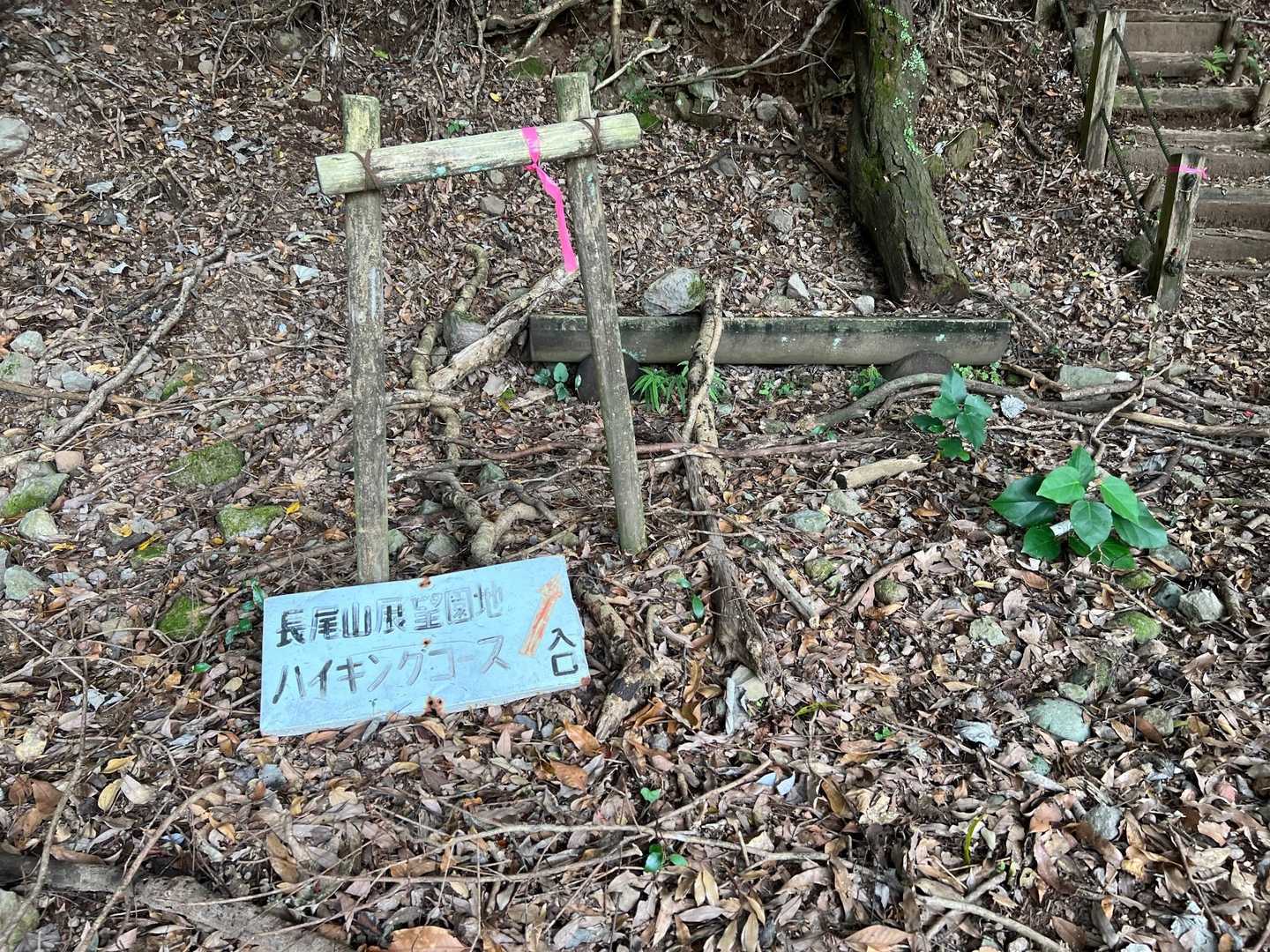 ということで登山開始。
サクッと行きますよ。
