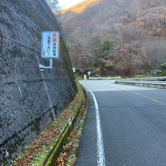 道路を歩いて登山口にむかいます