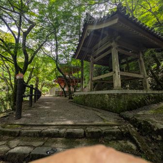 大威徳寺多宝塔と鐘楼！
歴史ある古刹である。