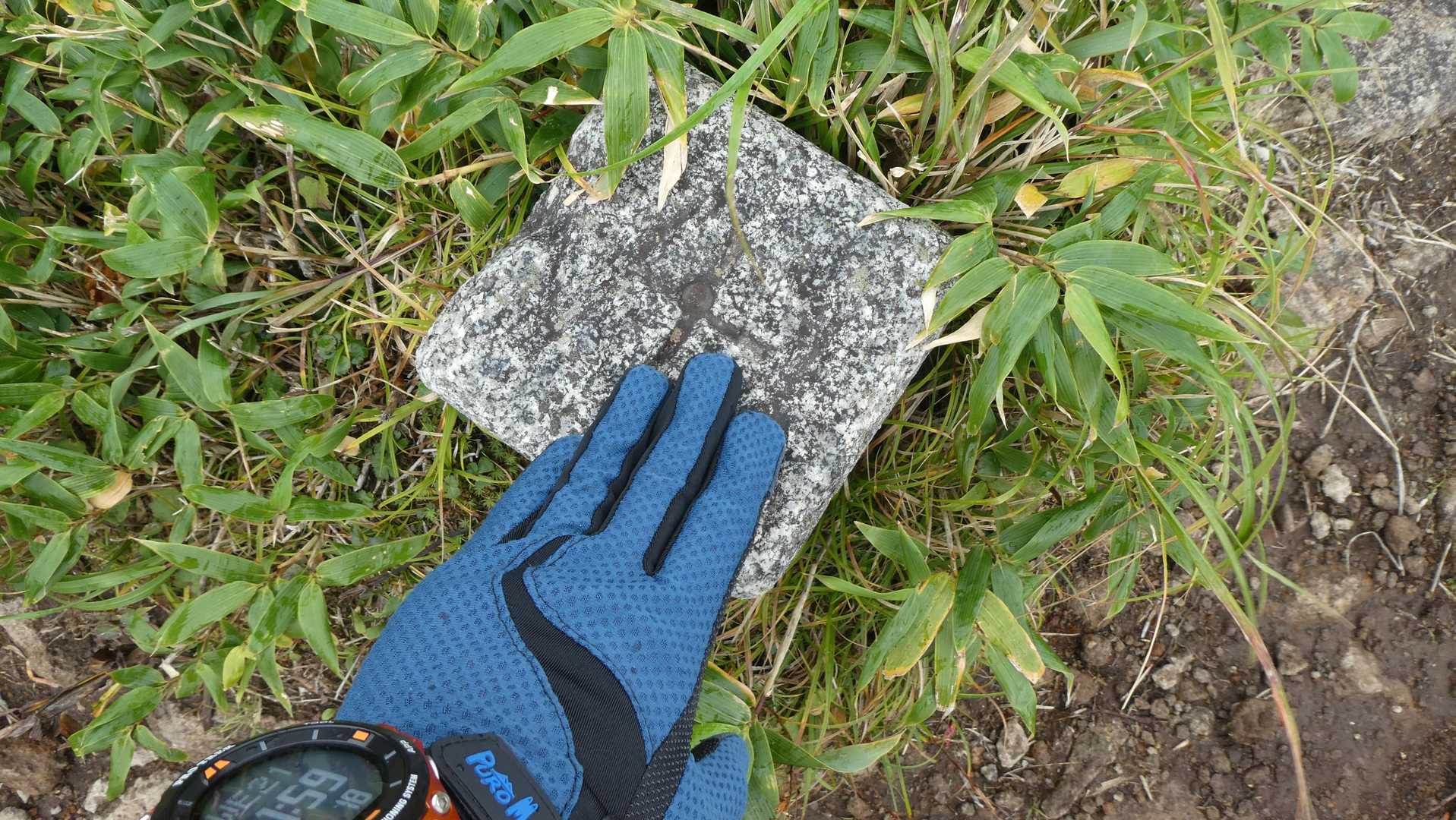秣岳登山口-秣岳 往復コースの写真