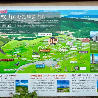おつかれ山〜。駐車場にある案内看板ℹ️です