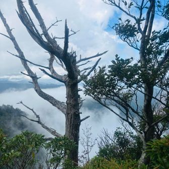山頂からの景色
