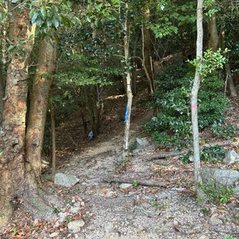 印がいっぱい
鈴鹿は登山口も多いし登山道も様々