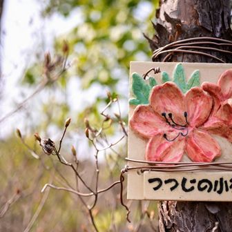 気が付けば体重が10%増量
そして喘息の調子もすこぶる悪い