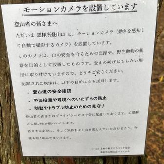 カメラ📸　探しても見つからず🤭