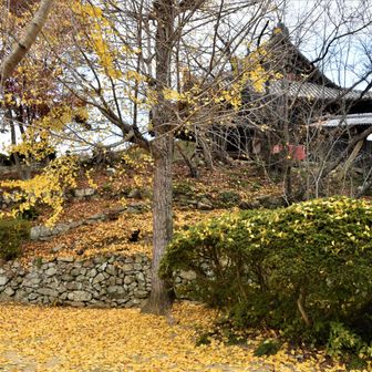  　  卍 明王寺🅿️    スタート👟