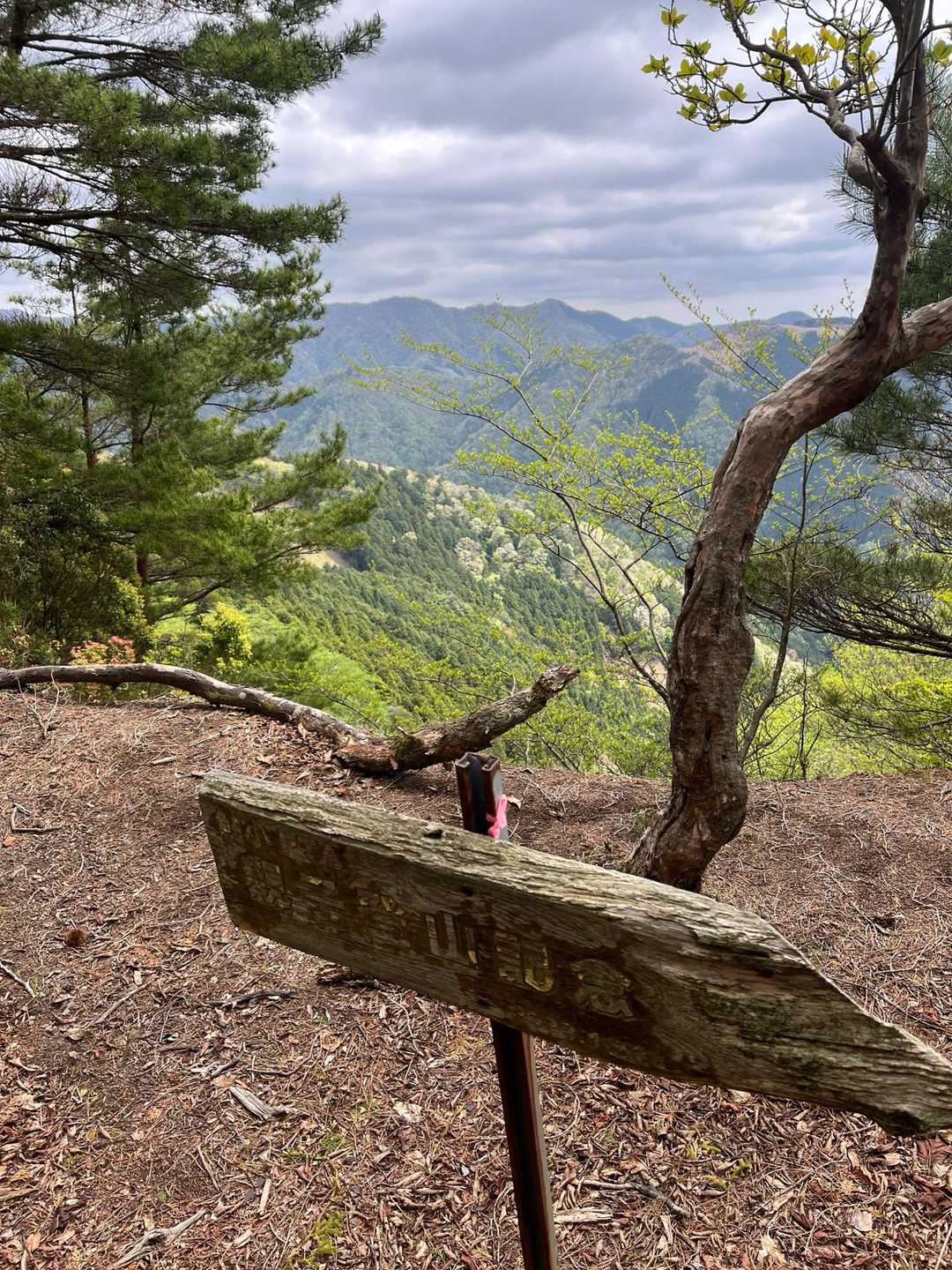 親子登山記念か🪧
いい記念だね👍