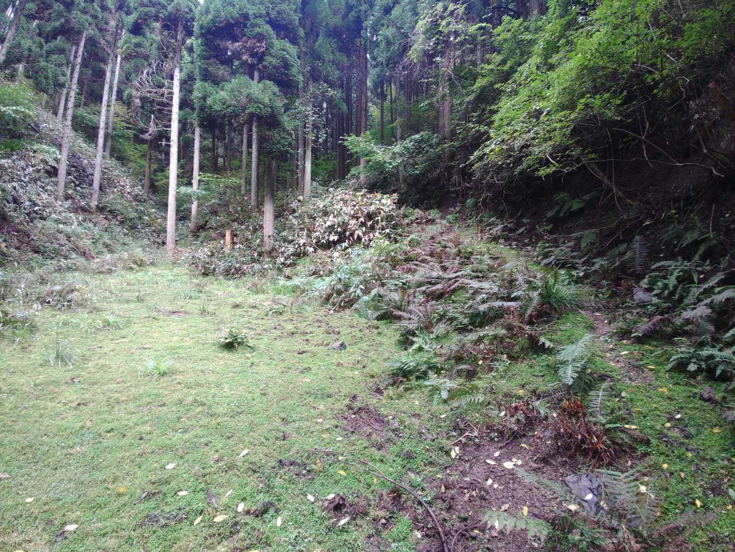 右の山に入ります🌲