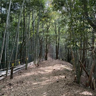 ほんとにキレイな道です