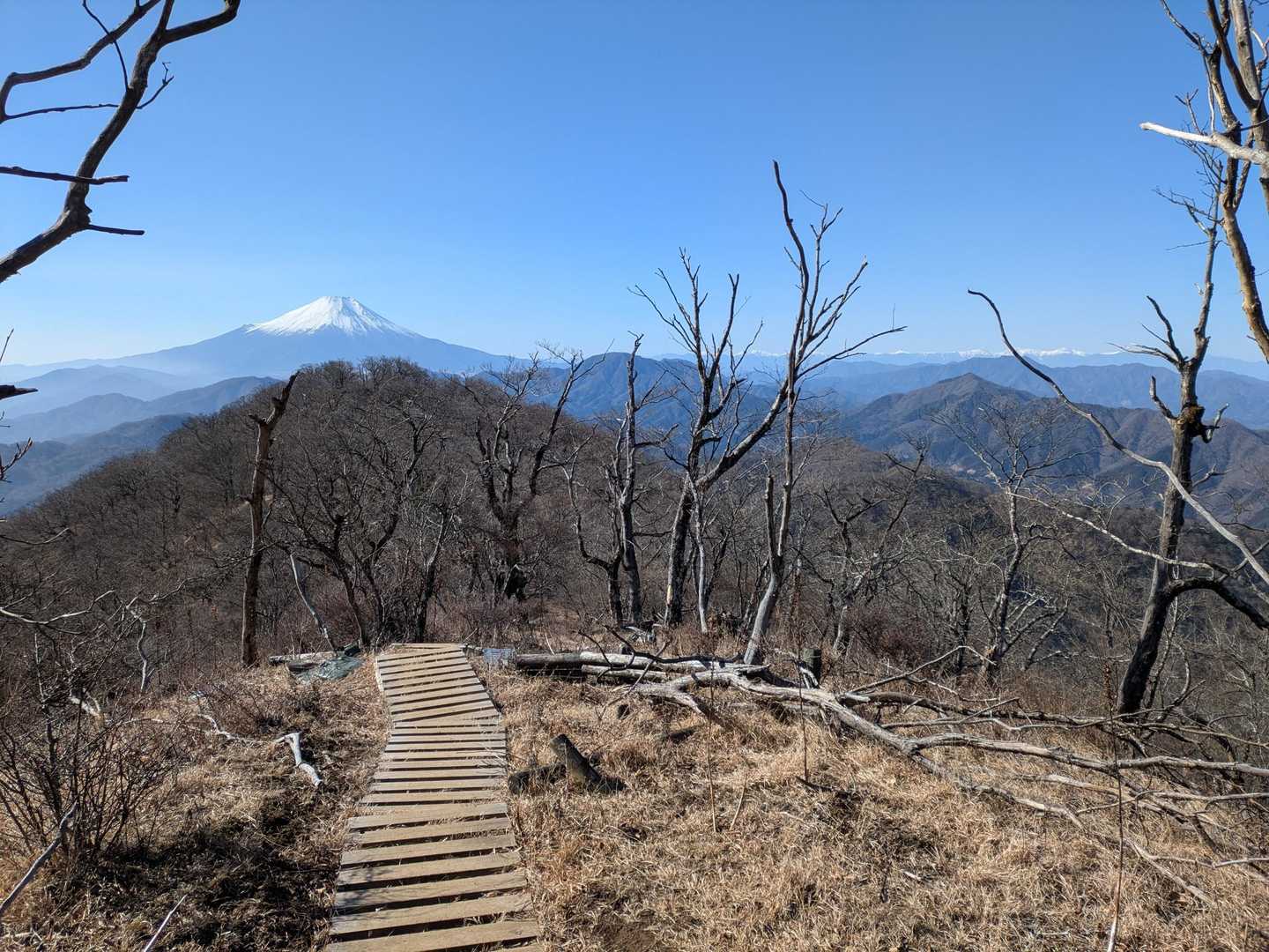 富士山🗻どーーーん😍
南アルプス🏔️ずらーっ😍
を見ながら⛰️🚶🚶🚶
最高っす😃🎶⤴️⤴️⤴️