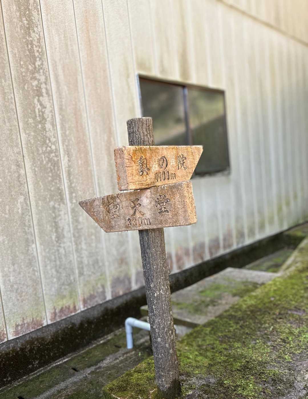 余力があるので、奥の院＆山頂へ！
ココを上がる⤴️