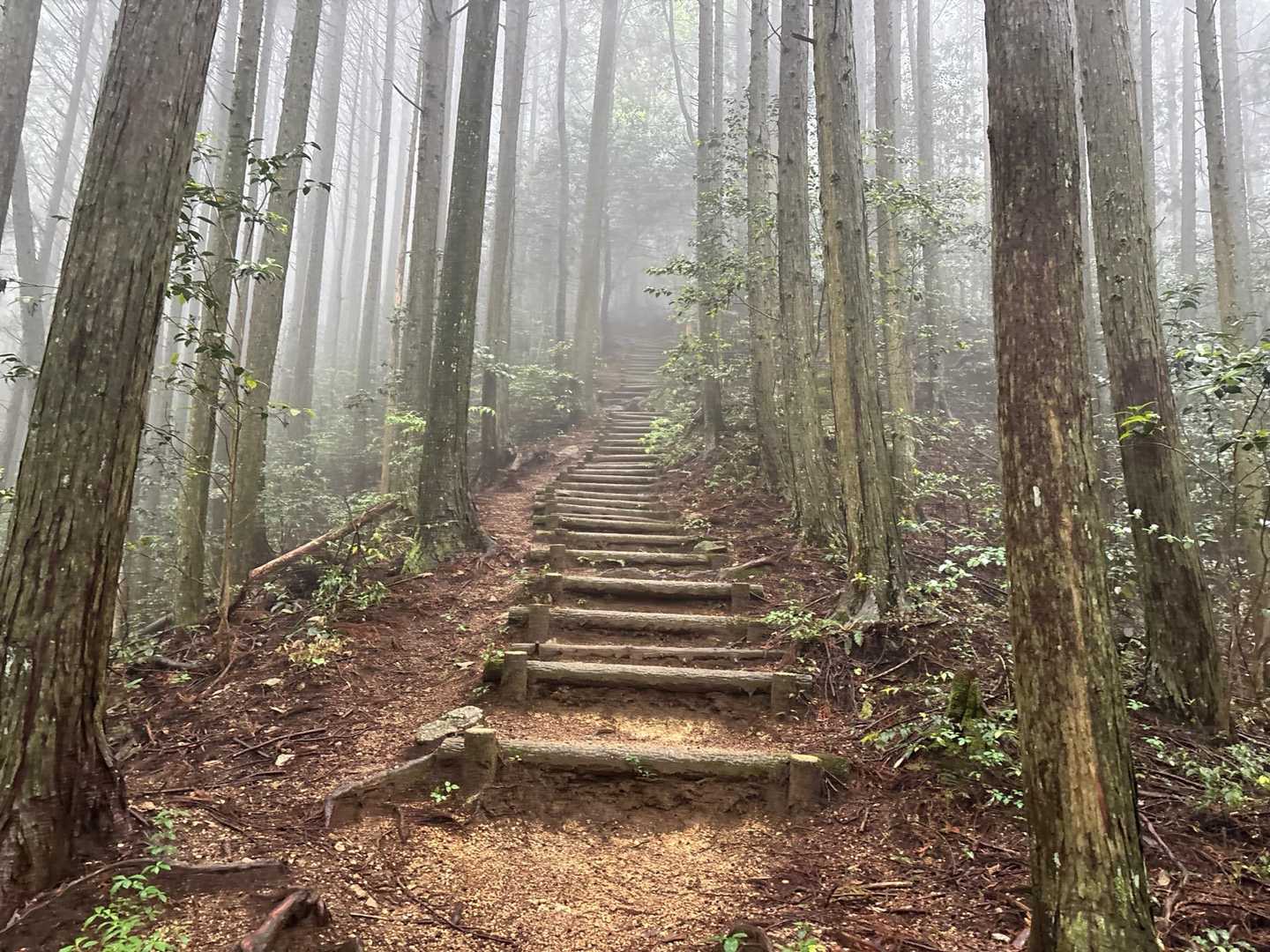 すでに真っ白⛈️😁