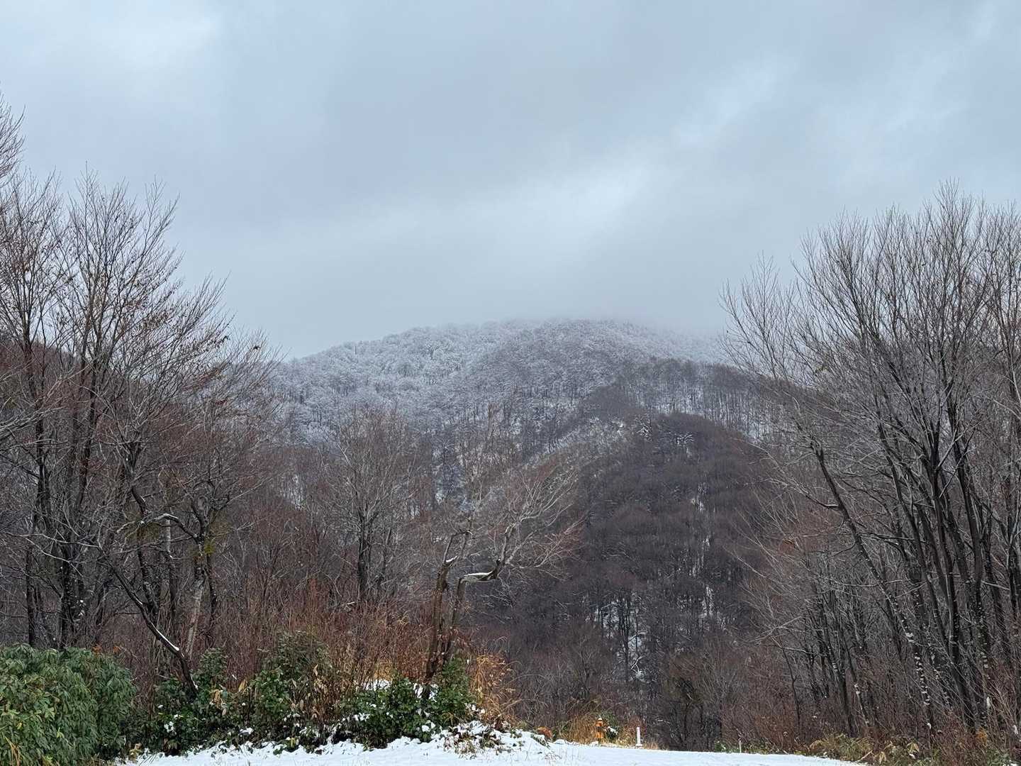 下山完了！
めちゃくちゃ楽しかったです✨
少し休憩してから帰ります。
お疲れ様でした！
